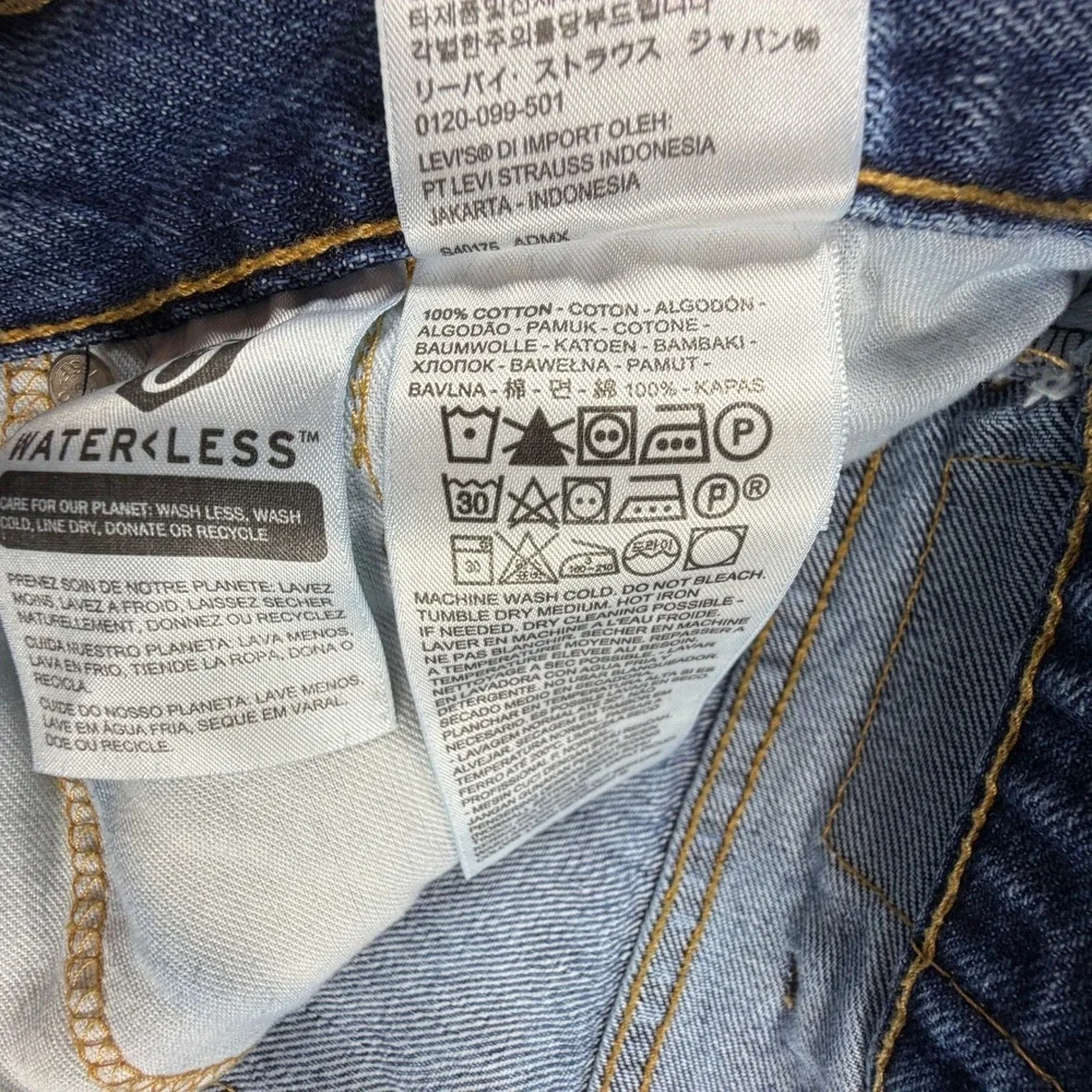 Levis levi strauss